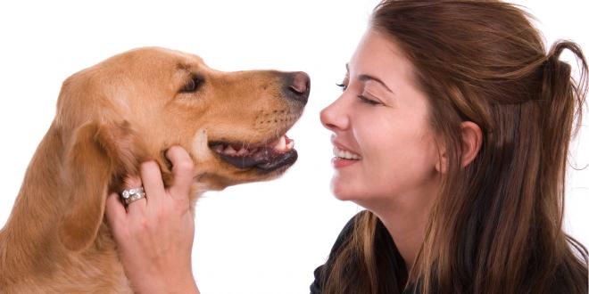 Woman looking at dogs teeth.