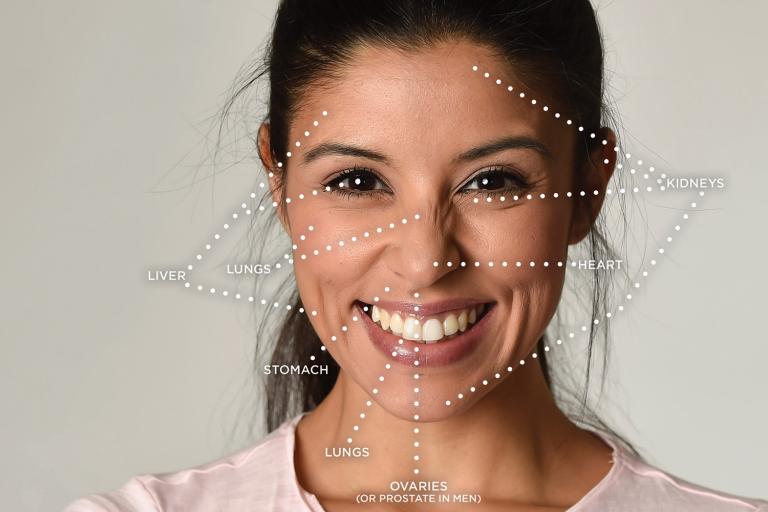 A diagram of face reading areas.